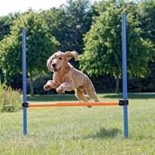 agility spring - agility barre