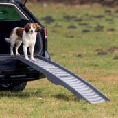 Hunderampe til hunde i alle aldre og vægt op til 25 kg